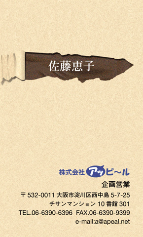 名刺見本BG-209